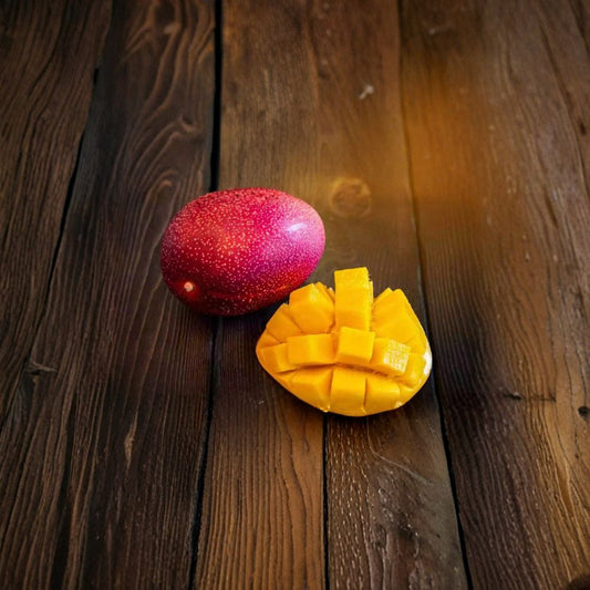 Super Rare Japanese Miyazaki Mango Rooted Seed – Taiyo no Tamago “Egg of the Sun” | Premium Mango Seedling | Exotic Tropical Fruit Tree Starter