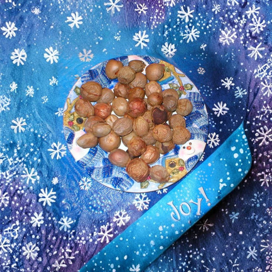 Avocado Pits – Naturally Dried  Approx. 1½ Pounds | Sold As Is