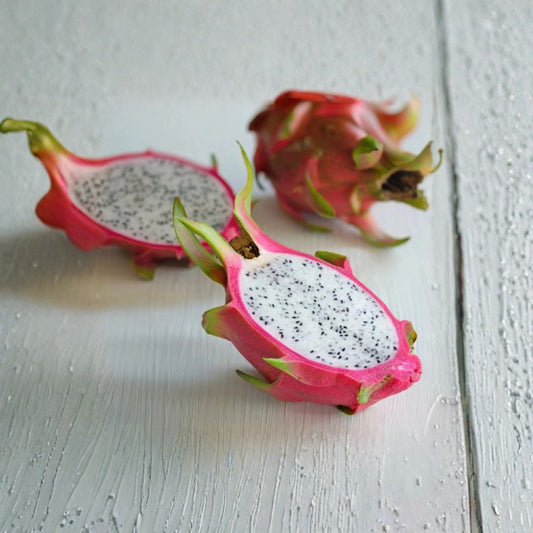 Very Sweet Dragon Fruit Plant – Live Rooted Plant 5–8 Inches | Organic Pitaya Cactus Fruit Tree | Tropical Fruit Starter | Container Friendly