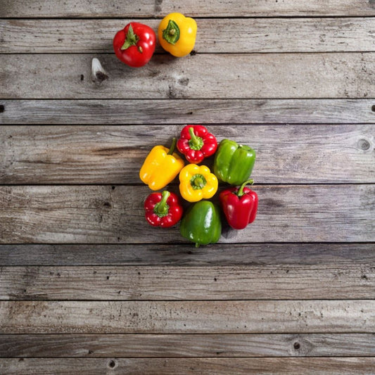 Mixed Color Giant Sweet Bell Pepper Seeds – 225 Organic Seeds | Large 4 Inch Sweet Peppers | Garden Vegetable Seed Pack | Heirloom Pepper Variety