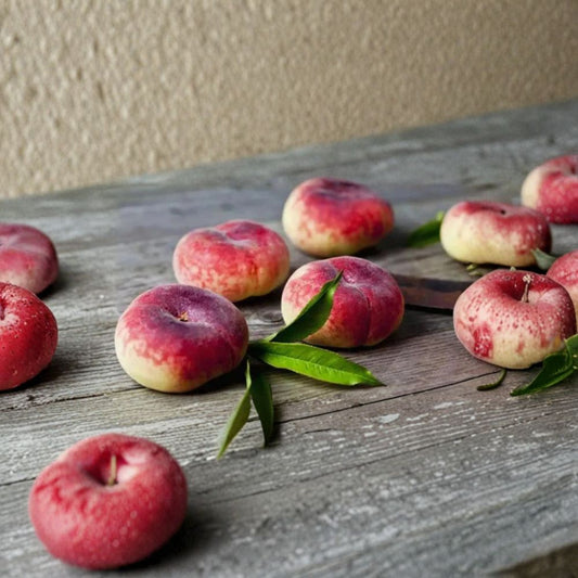 Japanese Donut Peach Seeds – Prunus persica Rare Fruit Seeds | 5 Organic Flat Peach Seeds | Sweet Doughnut Peach Tree for Garden Planting