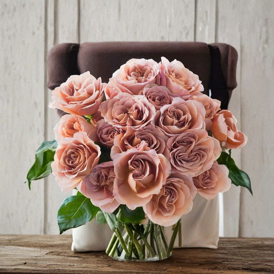 Café Latte Rose – Rare Rose Cuttings | 3 Fresh Unrooted Cuttings | Mocha Brown Garden Rose | Cuttings for Rooting or Grafting