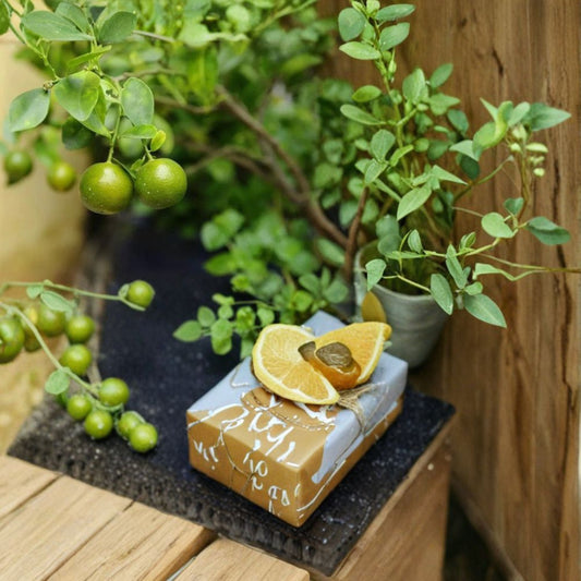 Green Kumquat Seeds – 5 Organic Seeds | Super Rare Citrus Variety | Mini Edible Fruit Tree | Exotic Garden Citrus