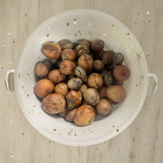 Hass Avocado Seeds – Persea americana  15 Fresh Avocado Seeds | Grow Your Own Avocado Tree Viable • Easy to Grow • Ready to Plant