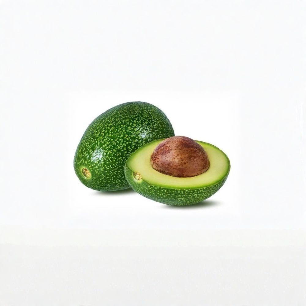 Very Rare Little Cado Avocado Seeds – Persea americana  2 Fresh Avocado Seeds | Dwarf Variety Organic • Easy to Grow • Ready to Plant