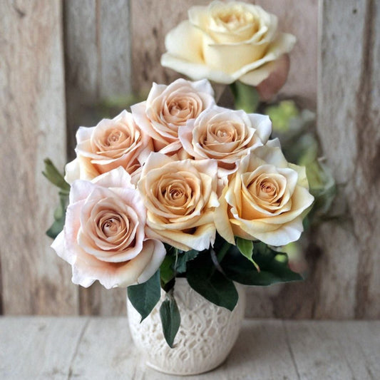 Brut! Rose – Rare Rose Cuttings | 3 Fresh Unrooted Cuttings | Unique Garden Rose Variety | Cuttings for Rooting or Grafting