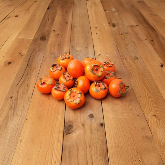 Fuyu Japanese Persimmon – Rare Sweet Non-Astringent Fruit Tree | 3 Fresh Unrooted Cuttings | 6–8 Inch Persimmon Scions | For Rooting or Grafting