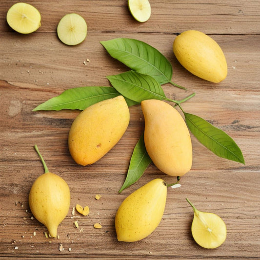 Very Rare Nam Dok Mai Mango Seed – 1 Organic Mango Seed | Super Sweet Juicy Thai Mango Variety | Tropical Fruit Tree Starter | Grow Your Own Mango Tree