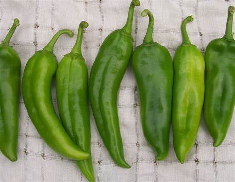 Pepper - Hatch Rattlesnake 250mg Seeds For Planting