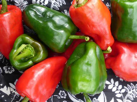 Pepper - Ancho 250 mg Seeds For Planting