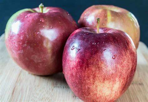 5 Unrooted Cuttings EMPIRE Apple Fruit Tree Scion / Cutting / Rooting / Grafting 10-12 INCHES