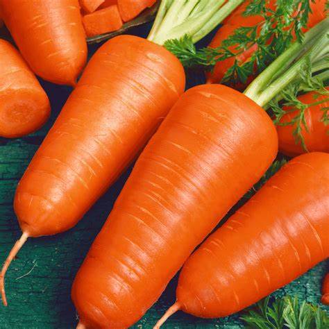 Chantenay Red Cored Carrot 800 Seeds For Planting