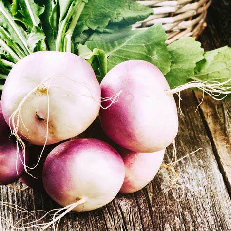 Turnip Purple Top White Globe Vegetable 1 gram Seeds For Planting