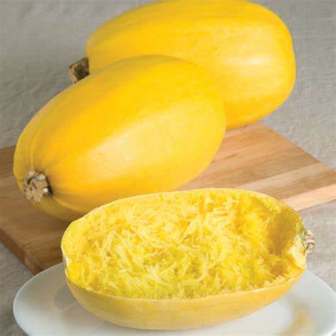 Vegetable Spaghetti Winter Squash Vegetable Cucurbita pepo 1 gram Seeds For Planting