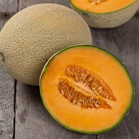 Hales Jumbo Melon Seeds For Planting