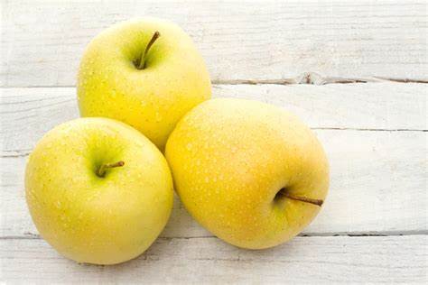 4 Unrooted Cuttings GOLDEN DELICIOUS Apple Fruit Tree Scion / Cutting / Rooting / Graft 10-12 INCH