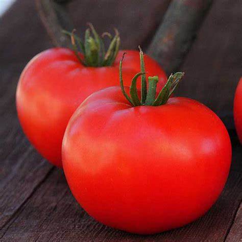 Tomato Rutgers Vegetable 100 mg Seeds For Planting