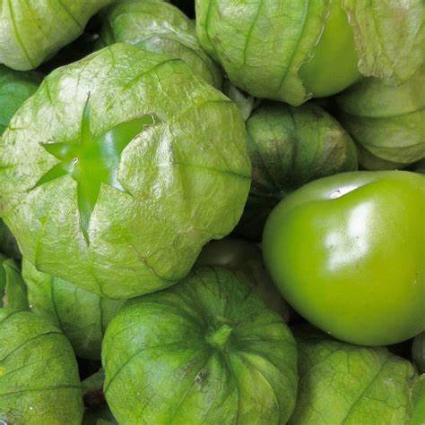 Tomatillo Verde Vegetable 100 mg Seeds For Planting