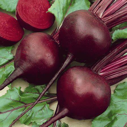 Beet Detroit Dark Red 40 Seeds For Planting