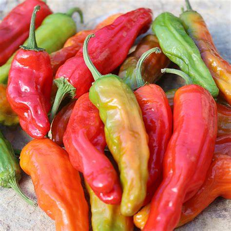 Shishito Pepper 250 mg Seeds For Planting