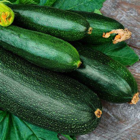 Dark Green Zucchini Summer Squash Vegetable 1 gram Seeds For Planting