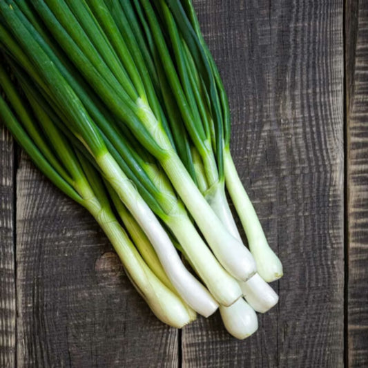 Onion-Bunching Tokyo Long