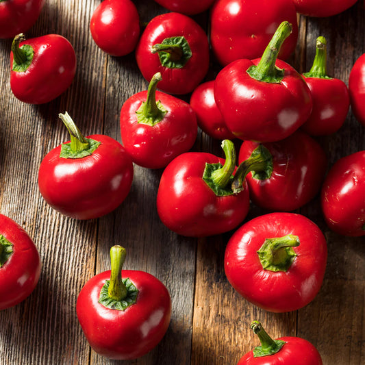 Large Hot Cherry Pepper