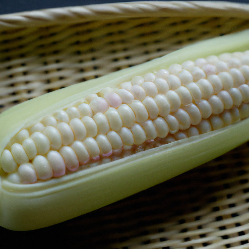 Popcorn Japanese Hulless White (baby Corn)