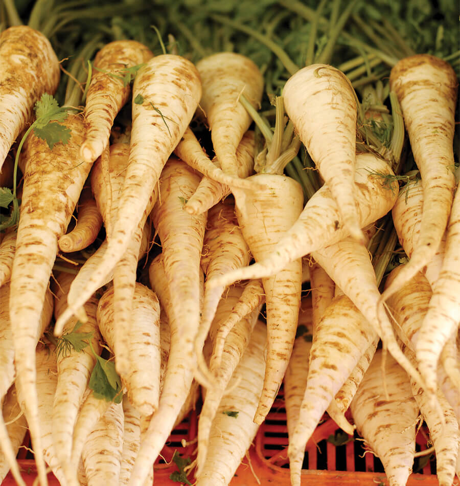 Parsnip Seeds For Planting