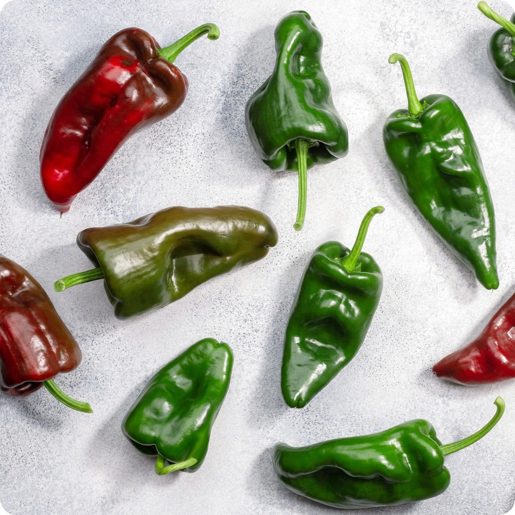 Ancho Pablano Hot Pepper 250 mg Seeds For Planting