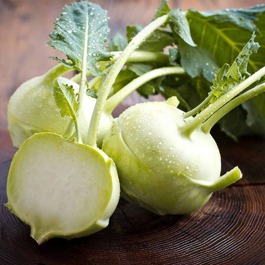 White Vienna Kohlrabi