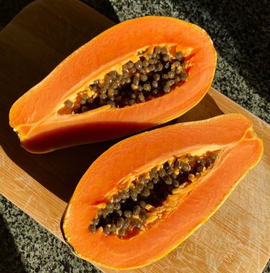 Bulk Red Caribbean Papaya Seeds (Carica papaya 'Red Caribbean') – 150+ Premium Fresh Rare Massive Sweet Red Papaya Seeds for Planting