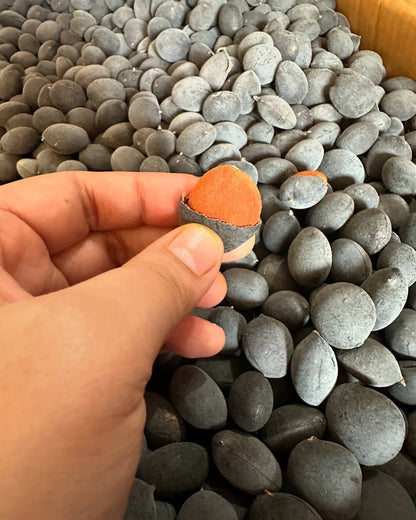Velvet Tamarind Seeds (Dialium indum / 100+ Rare Asian Fruit Tree Seeds) – Premium Exotic Tropical Fruit Plant Seeds for Planting