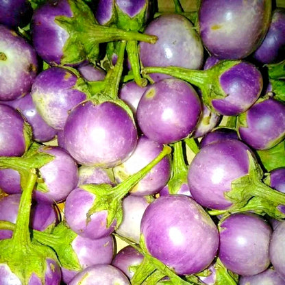 Purple Thai Eggplant Seeds (Solanum melongena) – 5,000+ Bulk Premium Round Eggplant Seeds