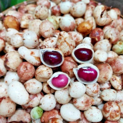 Bambara Groundnut (Vigna subterranea L.) – 100+ Premium Seeds