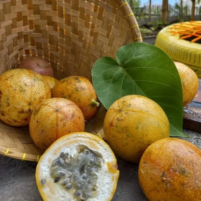 Konyal Passion Fruit Seeds (Passiflora edulis 'Konyal') – Premium Certified Tropical Edible Fruit Vine Seeds for Planting