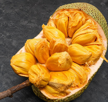 Durian Cempedak - Rare Grafted Exotic Fruit Tree