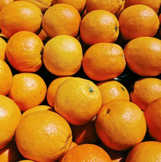 100+ Valencia Orange Seeds (Citrus sinensis / Premium Sweet Juicing Orange / Late-Season Citrus Tree) – Premium Exotic Fruit Tree & Orchard Seeds for Planting