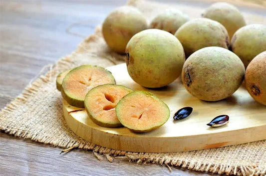 35+ Sapodilla Manila Seeds (Manilkara zapota / Chico Fruit Tree / Brown Sugar Sapote) – Premium Tropical Fruit Tree & Orchard Seeds for Planting