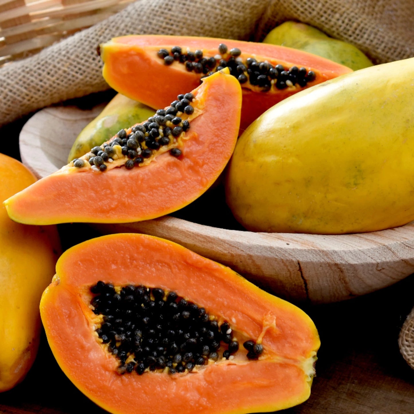 100+ 'Havana' Papaya Seeds (Carica papaya) – Premium Tropical Heirloom Genetic Stock (Collectors Quality)