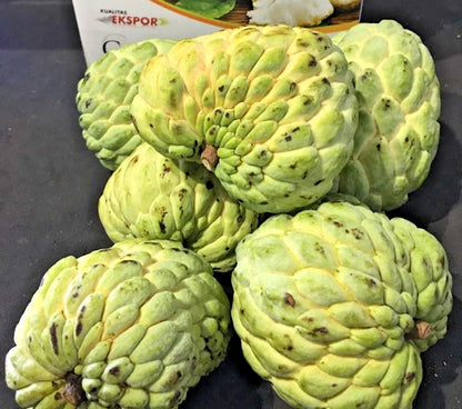 Big Australian Sugar Apple Seeds (Annona squamosa / 100+ Jumbo Sweet Custard Apple Fruit Seeds) – Premium Exotic Botanical Specimen Plant Seeds for Planting