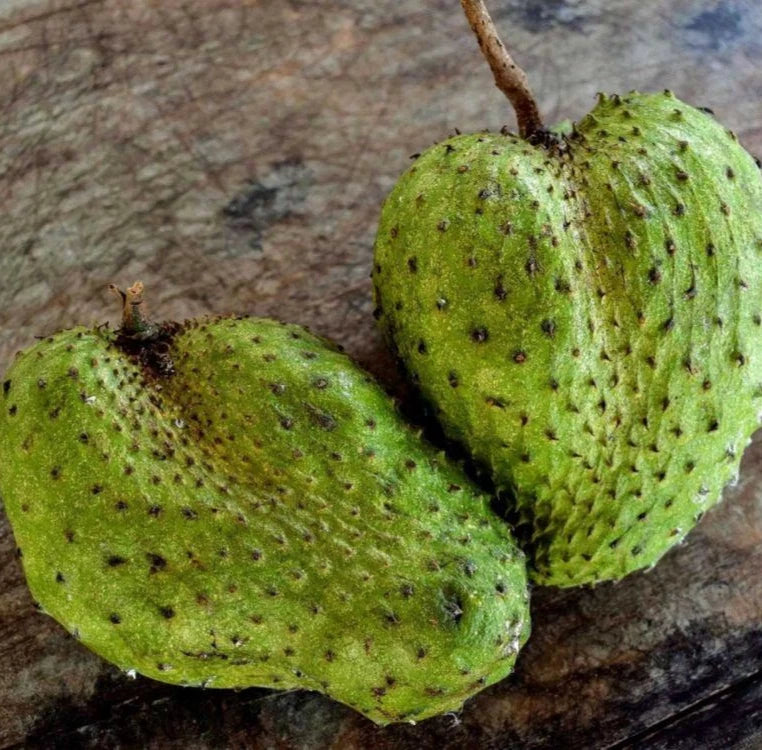 Amazon Hybrid Soursop Seeds (Annona muricata 'Amazon Hybrid') – 100 pcs Premium Fresh Rare High-Yield Sweet Soursop Seeds
