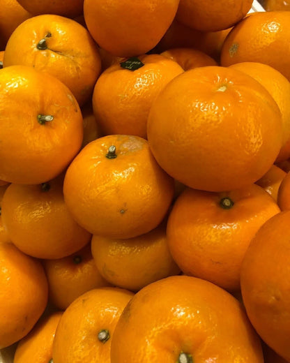 100+ Wokam Orange Seeds (Citrus reticulata / Wokam Mandarin / Premium Sweet Citrus) – Premium Exotic Fruit Tree & Orchard Seeds for Planting
