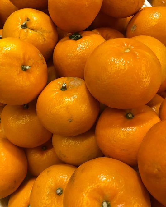 100+ Wokam Orange Seeds (Citrus reticulata / Wokam Mandarin / Premium Sweet Citrus) – Premium Exotic Fruit Tree & Orchard Seeds for Planting