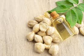 Fresh Kemiri Candlenuts | Indonesian Candle Nuts | Kukui Nuts | Natural Cooking & Hair Care Ingredient