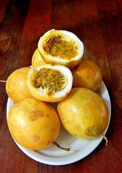 Yellow Passion Fruit (Passiflora edulis f. flavicarpa) – 1,000+ Premium Seeds