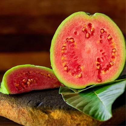 250+ Red Guava Seeds var. Titi (Psidium guajava) – Certified Pink Guava Fruit Crop Seeds for Planting