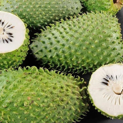 Premium Cuban Fiberless Soursop Seeds (Annona muricata) – Sweet Exotic Guanabana Fruit Seeds for Planting