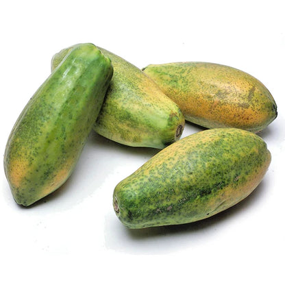 Dwarf Tainung Papaya (Carica papaya) – 1,000+ Premium Seeds
