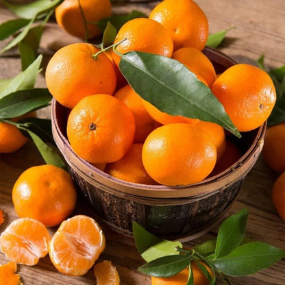 Ponkan Orange Seeds (Citrus Reticulata) – Certified Heirloom Sweet Mandarin Fruit Crop for Planting